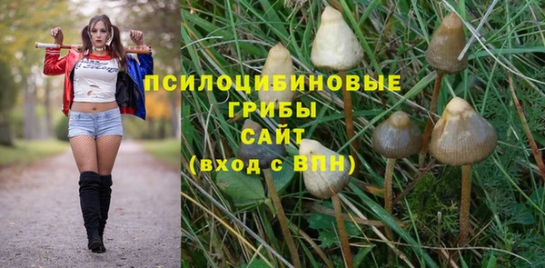 крисы Алзамай