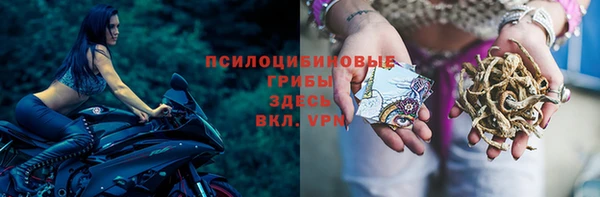 крисы Алзамай