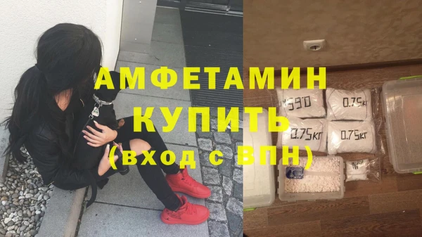 крисы Алзамай