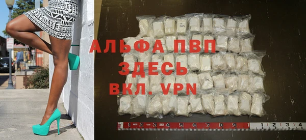 крисы Алзамай