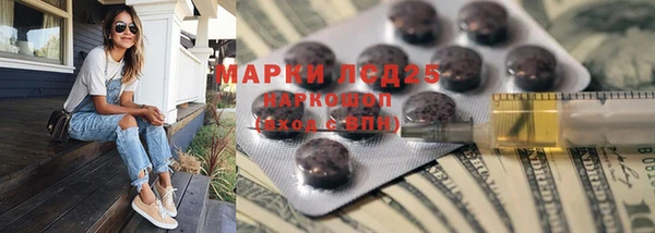 крисы Алзамай