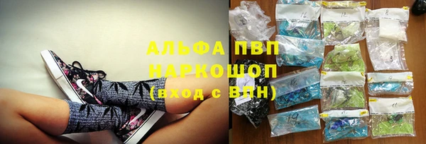 крисы Алзамай