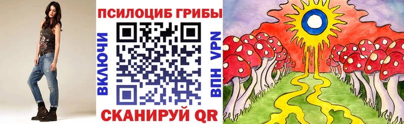 Галлюциногенные грибы Psilocybine cubensis  Новороссийск 