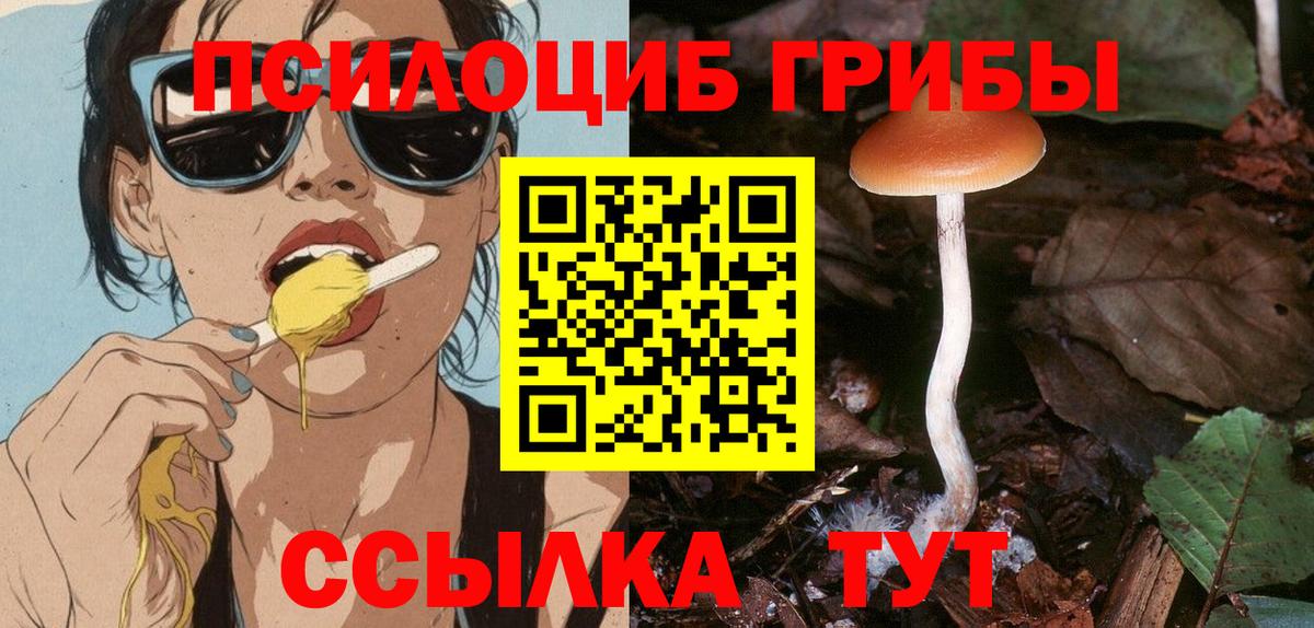 Галлюциногенные грибы Cubensis Новороссийск