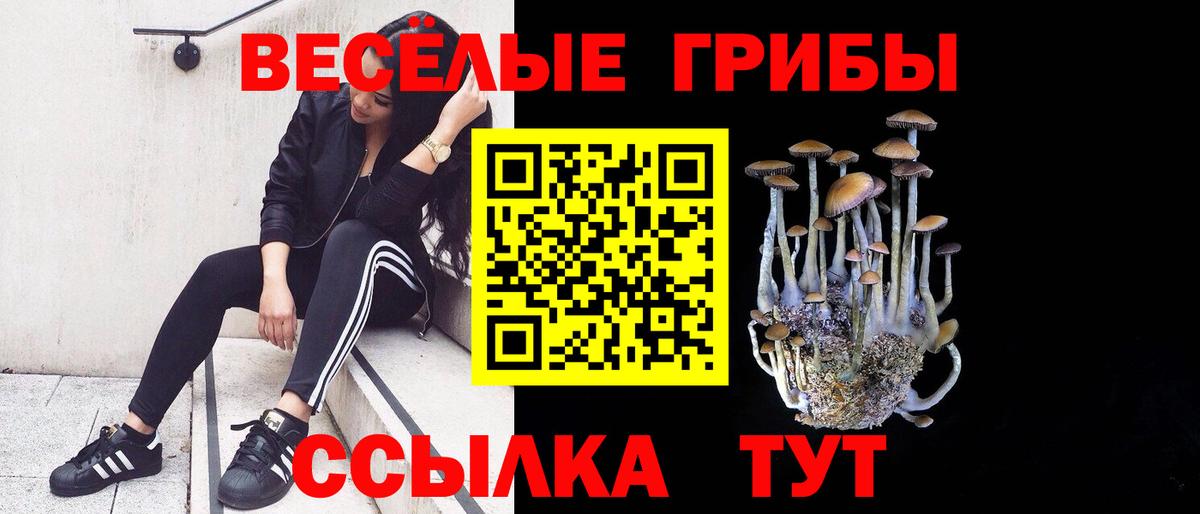наркота  Вход с VPN  Новороссийск  Псилоцибиновые грибы ЛСД 